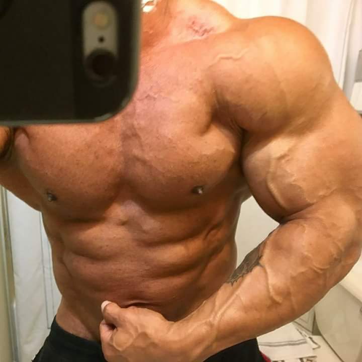 kevin levrone road to 2018 arnold classic australia 15 weeks out